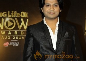 Bolly Celebs at the Life OK Now Awards 2014 photo 63