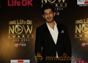 Bolly Celebs at the Life OK Now Awards 2014 photo 13