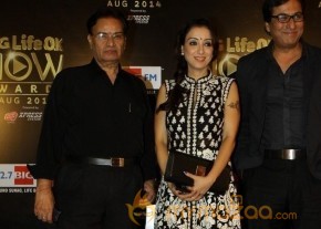 Bolly Celebs at the Life OK Now Awards 2014 photo 4