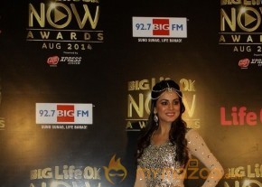 Bolly Celebs at the Life OK Now Awards 2014 photo 66