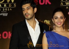 Bolly Celebs at the Life OK Now Awards 2014 photo 7