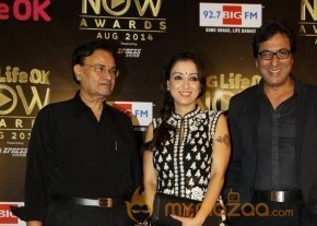 Bolly Celebs at the Life OK Now Awards 2014 photo 32