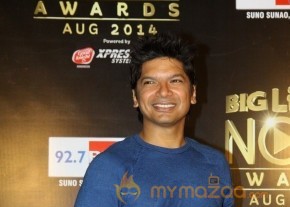 Bolly Celebs at the Life OK Now Awards 2014 photo 35