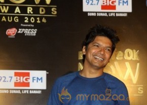 Bolly Celebs at the Life OK Now Awards 2014 photo 29