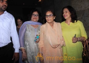 Bollywood Celebrities @ Sultan Premier  photo 8