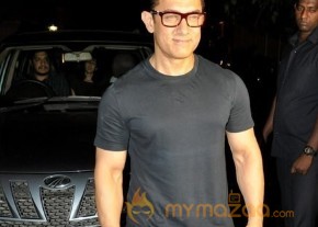 Bollywood Celebrities @ Sultan Premier  photo 17