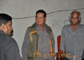 Bollywood Celebrities @ Sultan Premier  photo 21