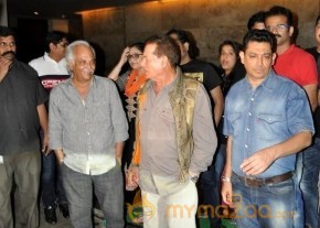 Bollywood Celebrities @ Sultan Premier  photo 30