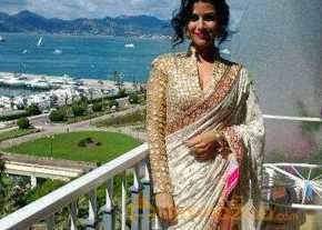 Bollywood Celebs At 66th Cannes Film Festival  photo 6