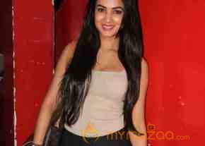 Bollywood Celebs At GTPM Special Screening photo 19