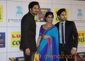 Bollywood Celebs At The Zee Cine Awards 2014 photo 7