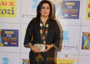Bollywood Celebs At The Zee Cine Awards 2014 photo 35
