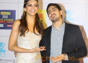 Bollywood Celebs At The Zee Cine Awards 2014 photo 18
