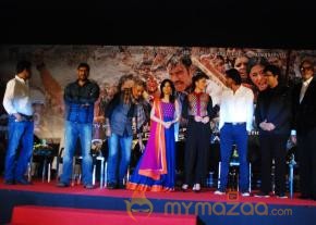 Bollywood  Stars of film SATYAGRAHA At  Raghupati Raghav Raja Ram Song Launch photo 52