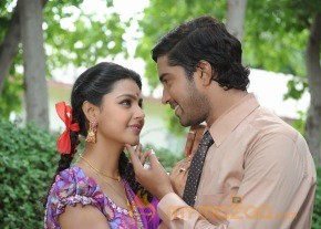 Brother Of Bommali Movie Latest Stills photo 16