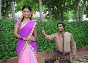 Brother Of Bommali Movie Latest Stills photo 28