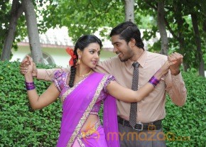 Brother Of Bommali Movie Latest Stills photo 13