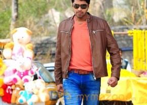 Brother Of Bommali Movie Latest Stills photo 62