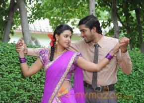 Brother Of Bommali Movie Latest Stills photo 50