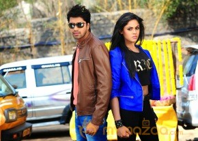 Brother Of Bommali Movie Latest Stills photo 11
