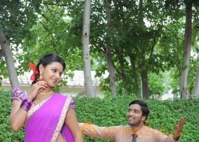 Brother Of Bommali Movie Latest Stills photo 23