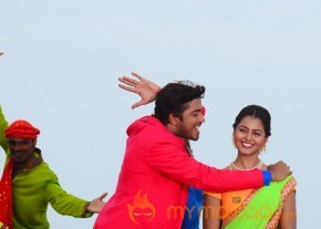 Brother Of Bommali Movie Latest Stills photo 45
