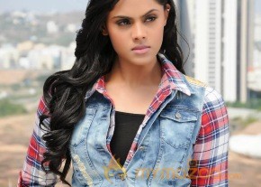 Brother Of Bommali Movie Latest Stills photo 39