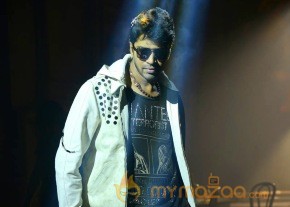Brother Of Bommali Movie Latest Stills photo 53
