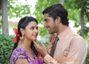 Brother Of Bommali Movie Latest Stills photo 35