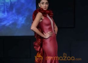 Celebs At Blenders pride Fashion Tour 2013 Photos photo 91