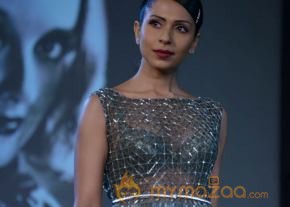 Celebs At Blenders pride Fashion Tour 2013 Photos photo 90