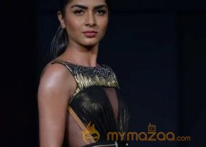 Celebs At Blenders pride Fashion Tour 2013 Photos photo 61