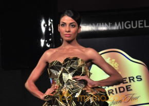 Celebs At Blenders pride Fashion Tour 2013 Photos photo 73
