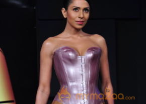 Celebs At Blenders pride Fashion Tour 2013 Photos photo 60