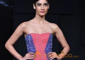 Celebs At Blenders pride Fashion Tour 2013 Photos photo 44