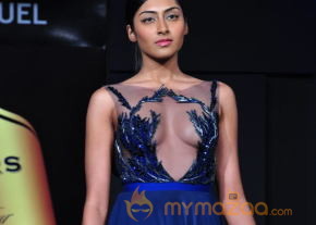 Celebs At Blenders pride Fashion Tour 2013 Photos photo 72