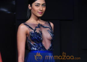 Celebs At Blenders pride Fashion Tour 2013 Photos photo 76