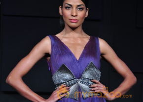 Celebs At Blenders pride Fashion Tour 2013 Photos photo 58