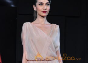 Celebs At Blenders pride Fashion Tour 2013 Photos photo 52