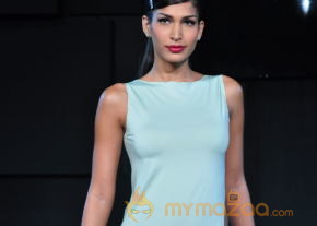 Celebs At Blenders pride Fashion Tour 2013 Photos photo 39