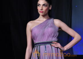 Celebs At Blenders pride Fashion Tour 2013 Photos photo 51
