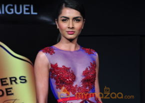 Celebs At Blenders pride Fashion Tour 2013 Photos photo 70