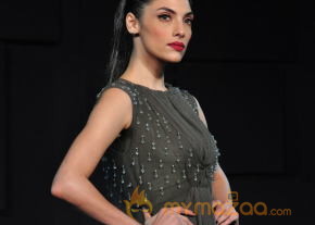 Celebs At Blenders pride Fashion Tour 2013 Photos photo 16
