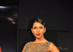 Celebs At Blenders pride Fashion Tour 2013 Photos photo 6