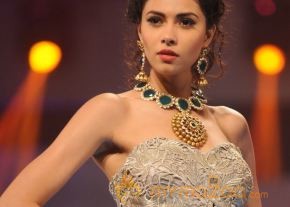 Celebs At IBJA Fashion Show Photos photo 26