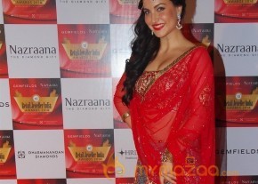 Celebs at Retail Jeweller India Awards 2014 photo 34