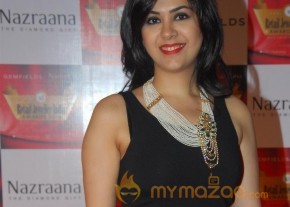Celebs at Retail Jeweller India Awards 2014 photo 18