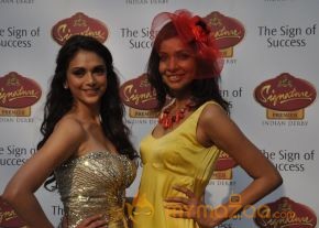 Celebs at Signature Premium Derby 2013 Photos photo 14