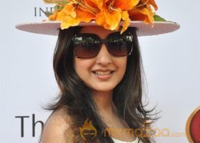 Celebs at Signature Premium Derby 2013 Photos photo 17