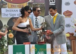Celebs at Signature Premium Derby 2013 Photos photo 2